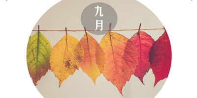 2018年9月微信营销热点汇总
